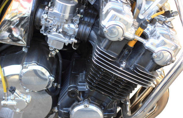 SERVICES & AFFORDABLE PRICE